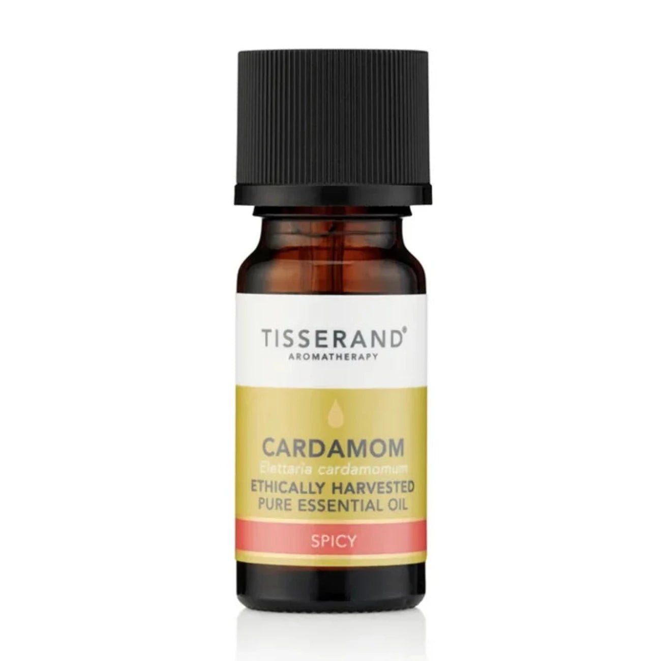 Ethically Harvested Essential Oil Cardamom 9ml - Tisserand - Essential Oil - Eco Natural Products