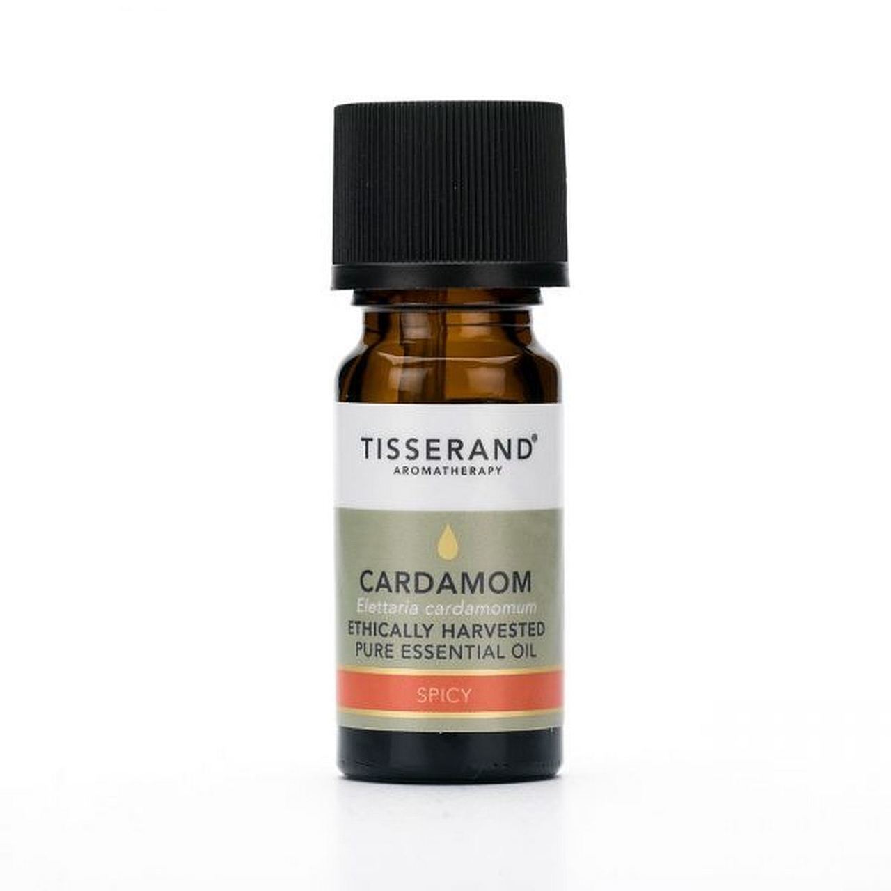 Ethically Harvested Essential Oil Cardamom 9ml - Eco Natural Products - Tisserand - Essential Oil