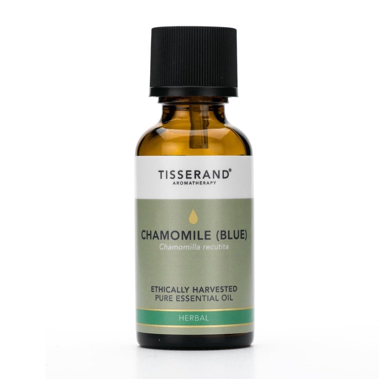 Ethically Harvested Essential Oil Chamomile Blue 30ml - Eco Natural Products - Tisserand - Essential Oil