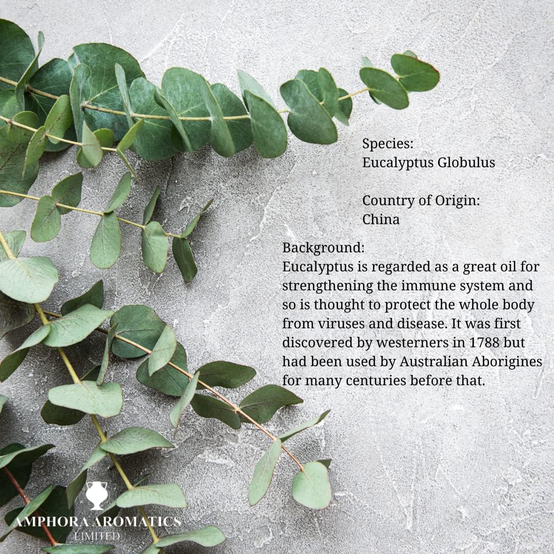 Eucalyptus Essential Oil 10ml - Amphora Aromatics - Essential Oil - Eco Natural Products