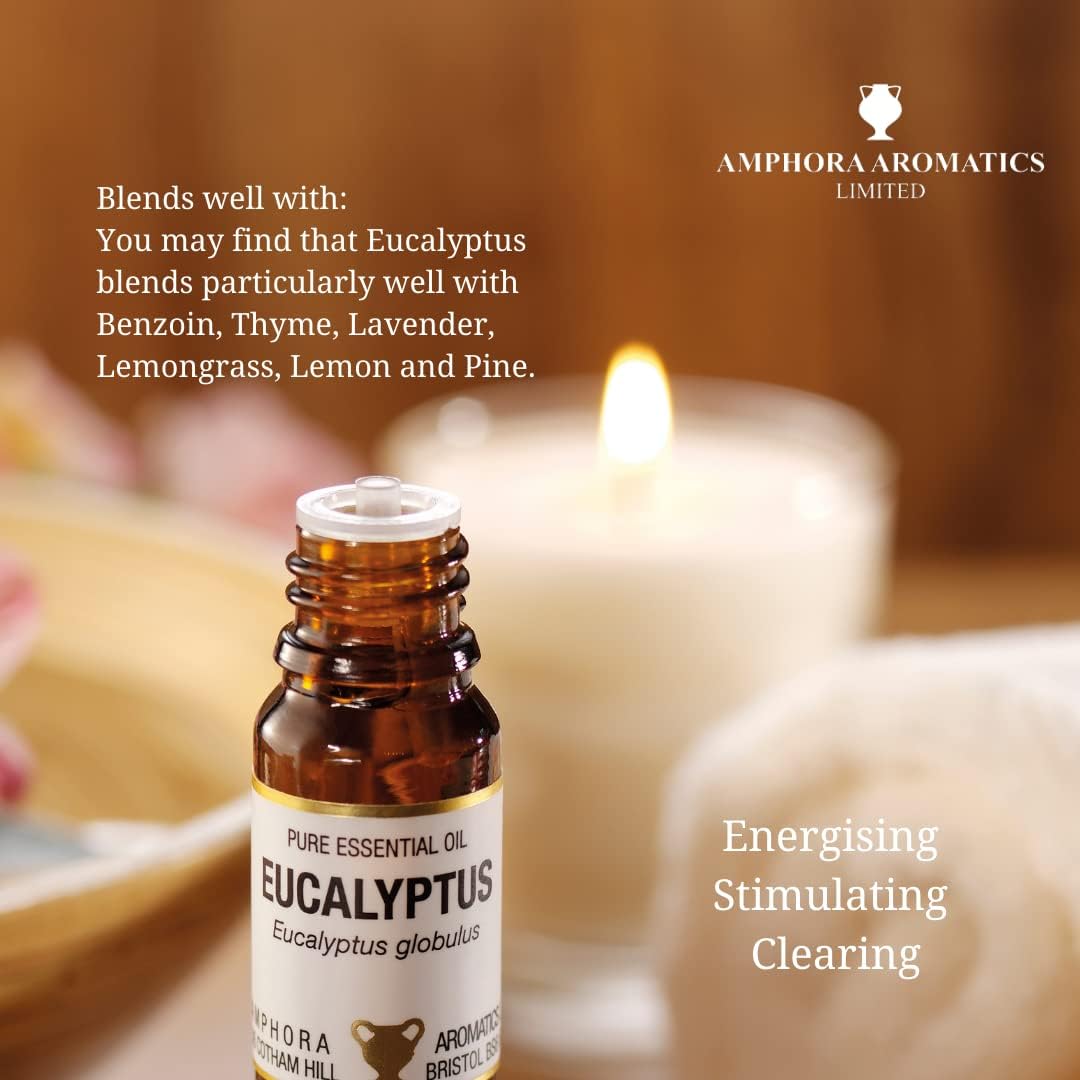Eucalyptus Essential Oil 10ml - Amphora Aromatics - Essential Oil - Eco Natural Products