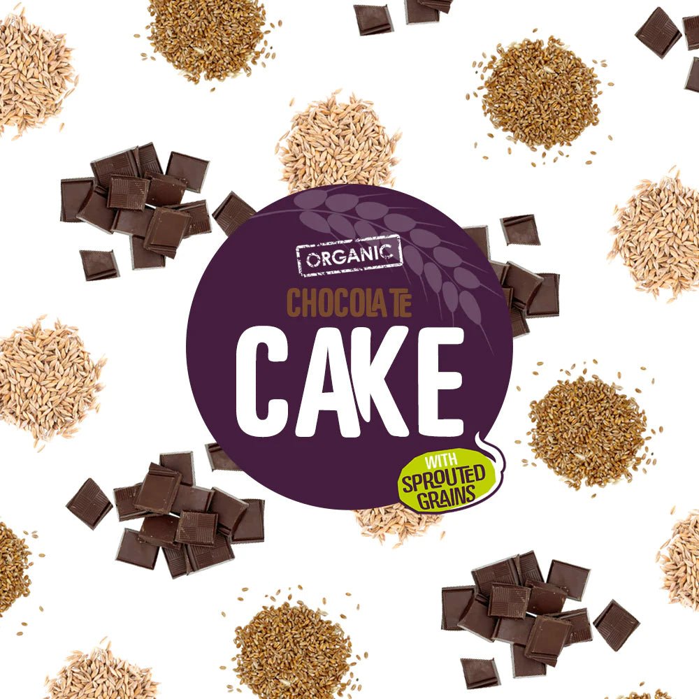 Everfresh Organic Chocolate Sprouted Grains Cake 350g - Eco Natural Products - Everfresh - Cake