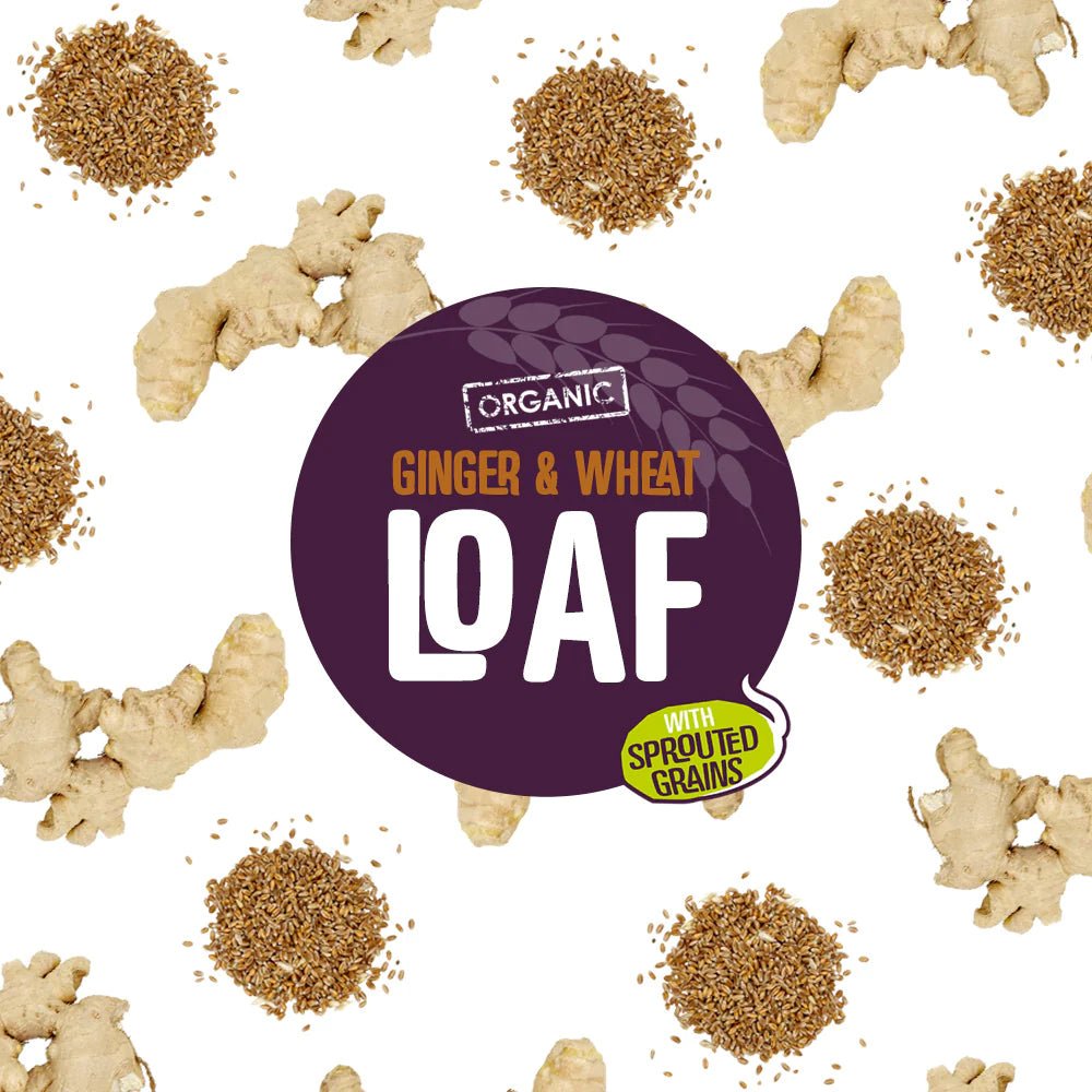 Everfresh Organic Stem Ginger Sprouted Wheat Bread YF SF NAS 400g - Everfresh - Wheat Bread - Eco Natural Products