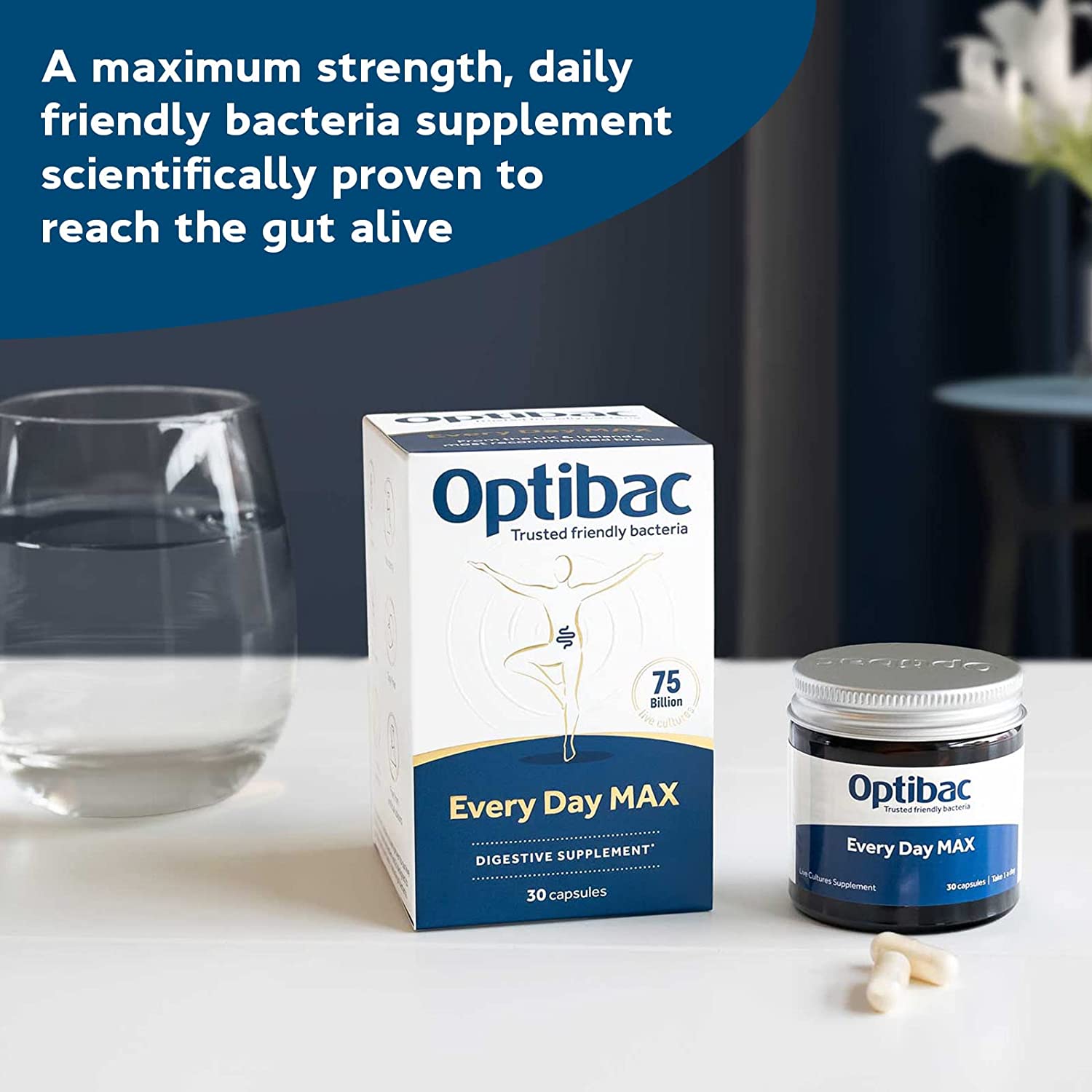 Every Day Probiotics MAX 30 Capsules - OptiBac Probiotics - Vitamins & Supplements - Eco Natural Products