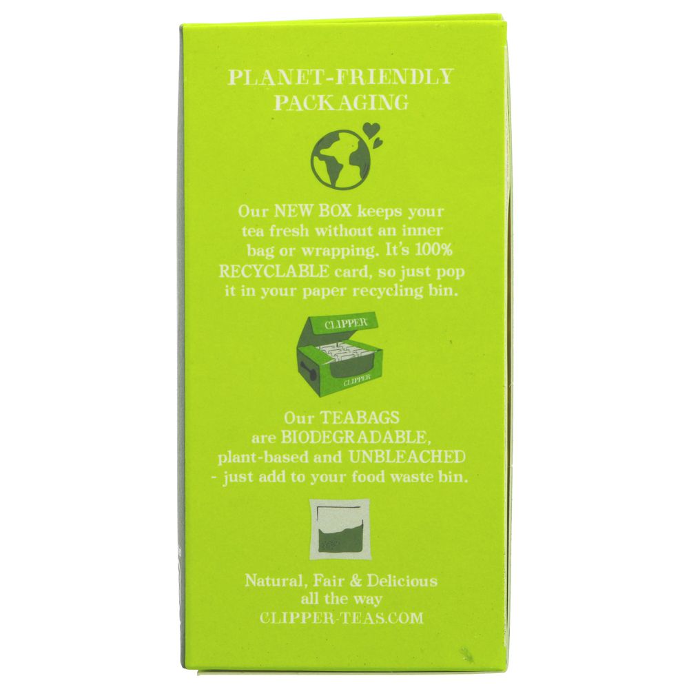 Everyday Black Tea 80 Bags - Clipper - Black Tea - Eco Natural Products