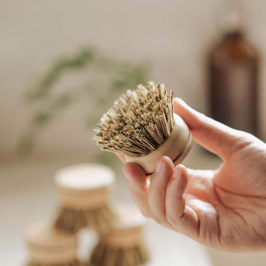 Reusable Bamboo Dish Brush Head (Firm Bristles)