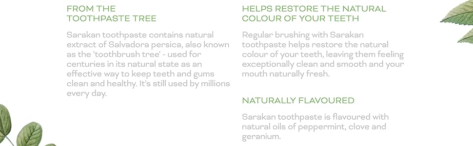 Fluoride Free Toothpaste 50ml - Eco Natural Products - Sarakan - Toothpaste