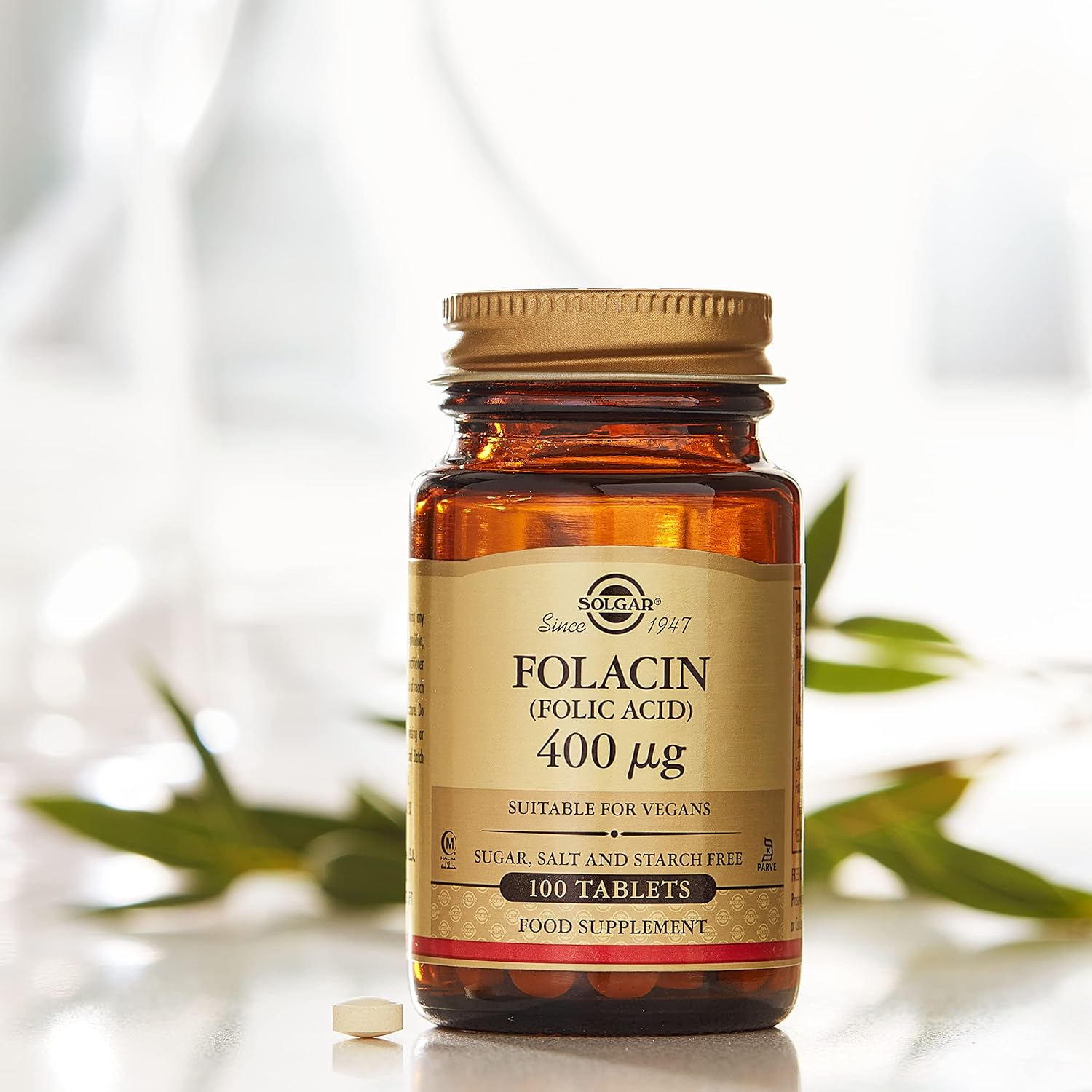 Folacin (Folic Acid) 400 µg - 250 Tablets - Eco Natural Products - Solgar - Vitamins