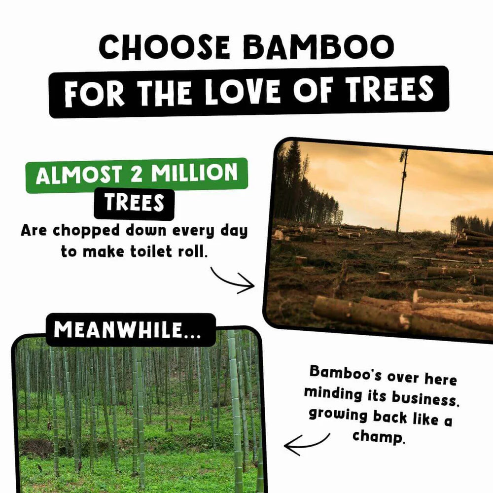 Cheeky Panda Antibacterial Multi Surface Wipes 90 Wipes choose bamboo for the love of trees