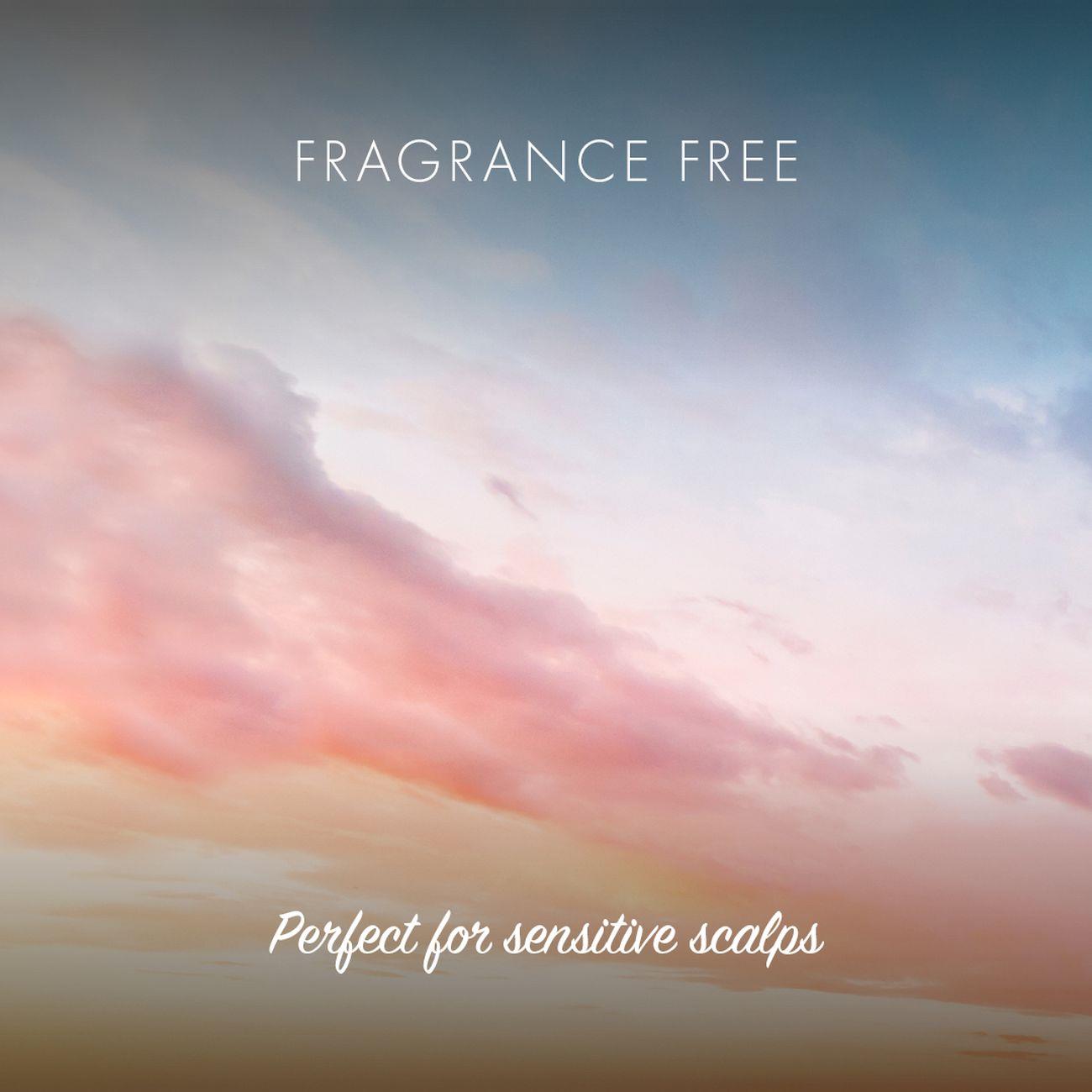 Fragrance - free Conditioner Bar 90g - Friendly Soap - conditioner - Eco Natural Products