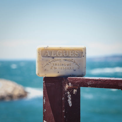 French Marseille Soap (Algue) Seaweed 125g - FouFour - Savon de Marseille - Bar Soap - Eco Natural Products