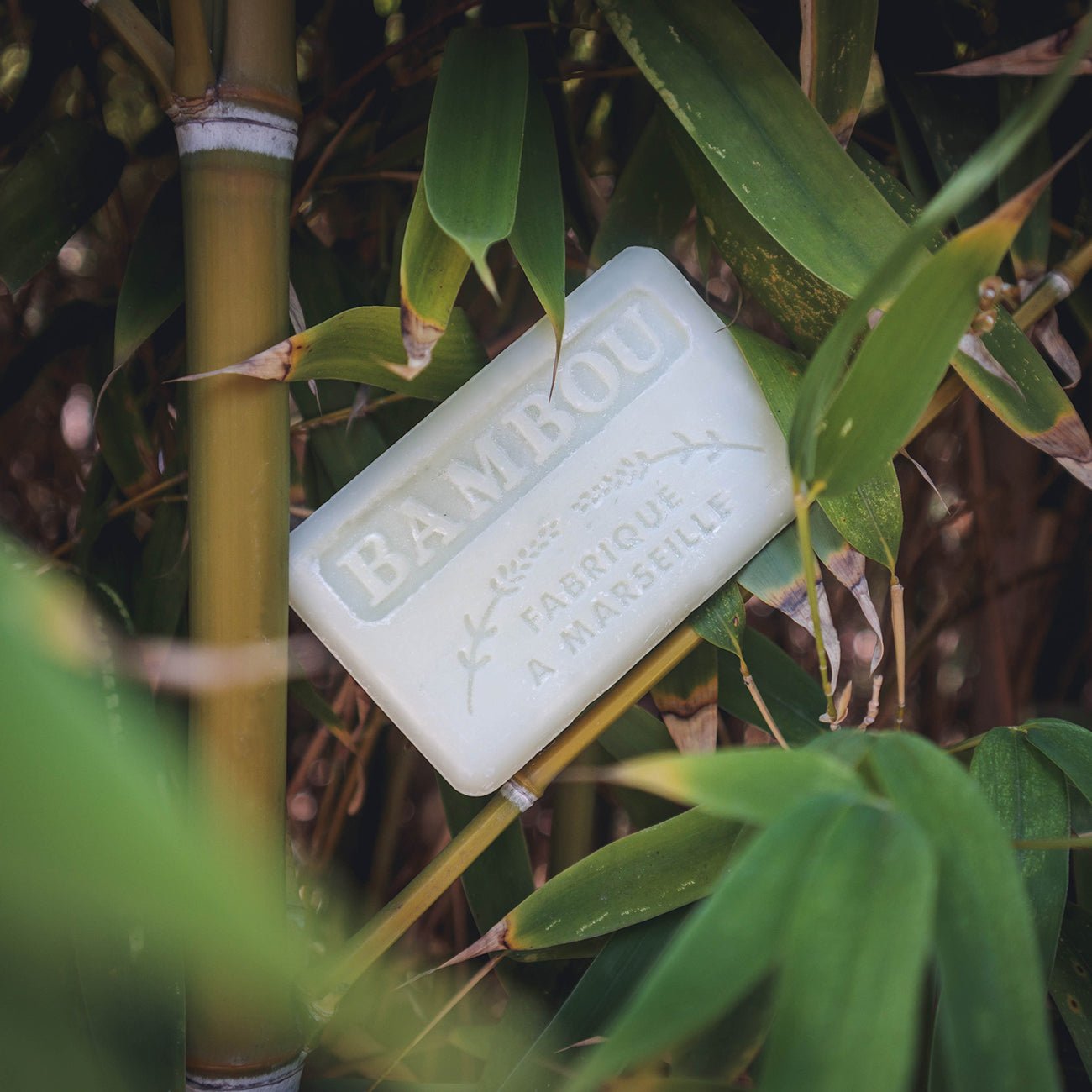 French Marseille Soap Bambou (Bamboo) 125g - FouFour - Savon de Marseille - Bar Soap - Eco Natural Products