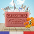 French Marseille Soap Calendula 125g - Eco Natural Products - FouFour - Savon de Marseille - Bar Soap