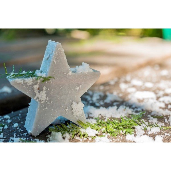French Marseille Soap Christmas Etoile Parfum Festif (Star Festive Scent) 30g - FouFour - Savon de Marseille - Bar Soap - Eco Natural Products