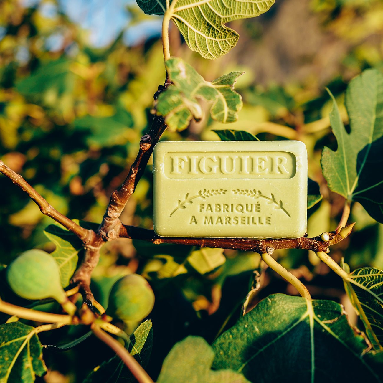 French Marseille Soap Figuier (Fig) 125g - FouFour - Savon de Marseille - Bar Soap - Eco Natural Products