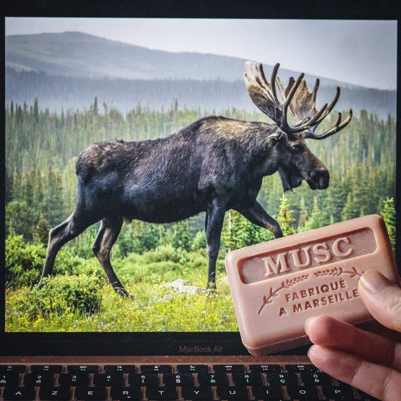 French Marseille Soap Musc (Musk) 125g - FouFour - Savon de Marseille - Bar Soap - Eco Natural Products