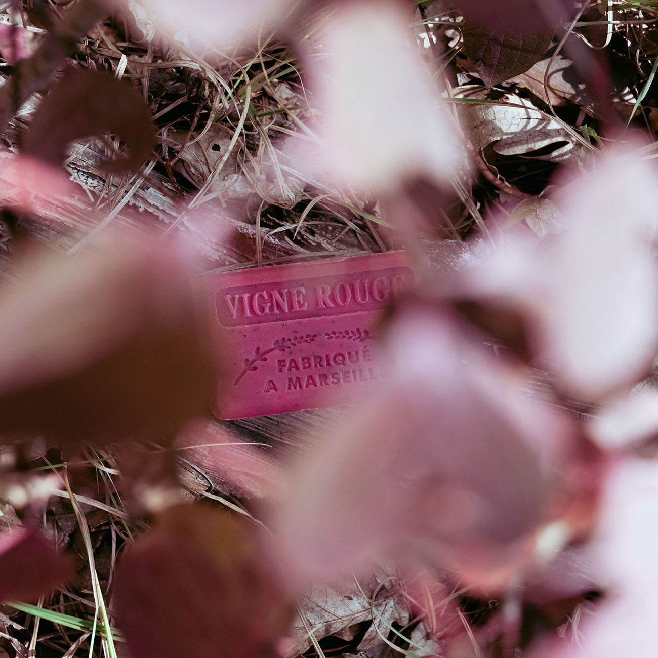 French Marseille Soap Vigne Rouge (Red Vine) 125g - FouFour - Savon de Marseille - Bar Soap - Eco Natural Products