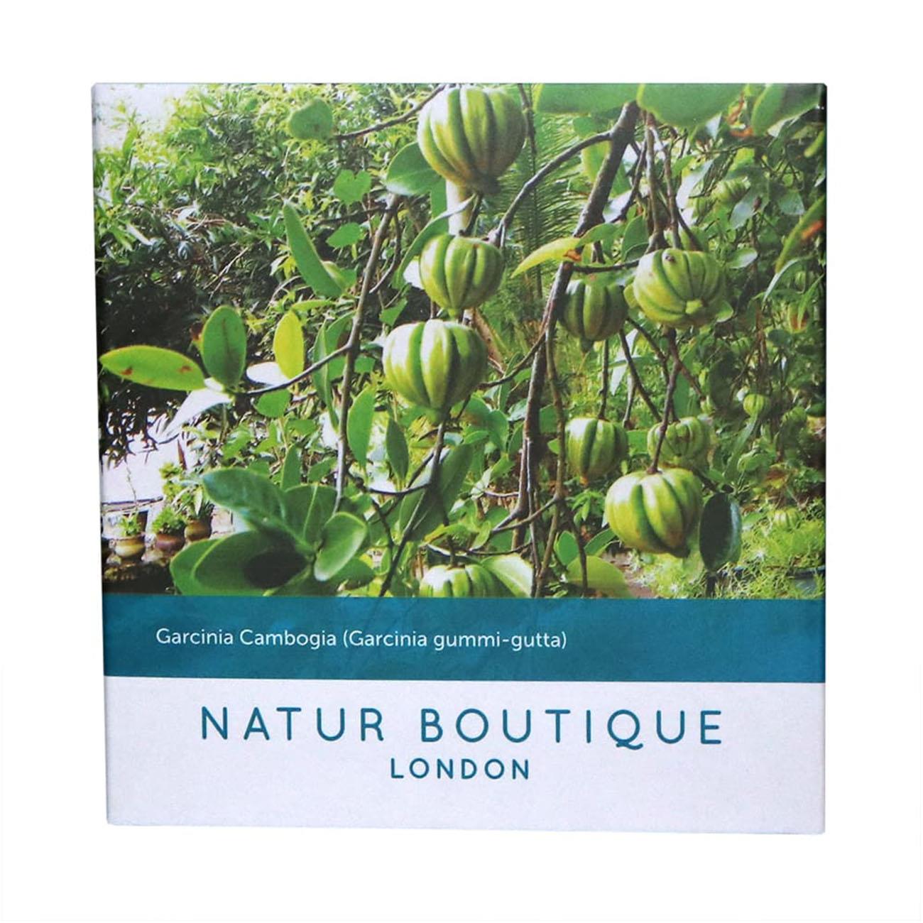 Garcinia Cambogia Tea 20 Sachets - Natur Boutique - Herbal tea - Eco Natural Products