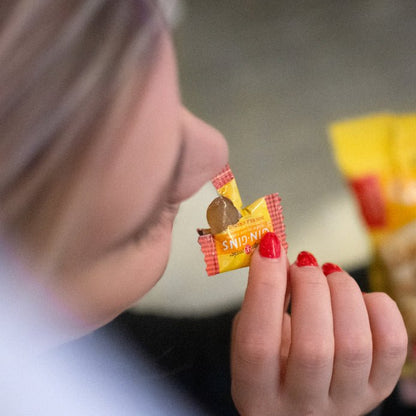 Gin Gins Double Strength Hard Ginger Candy 150g - The Ginger People - Ginger Candy - Eco Natural Products