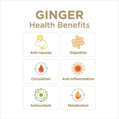 Ginger People Gin Gins Super Strength Ginger Candy 31g - The Ginger People - Candy - Eco Natural Products