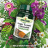 Ginger, Turmeric & Bromelain 3 - in - 1 Botanical Formula 60 Tablets - Eco Natural Products - Natures Aid - Vitamins & Supplements