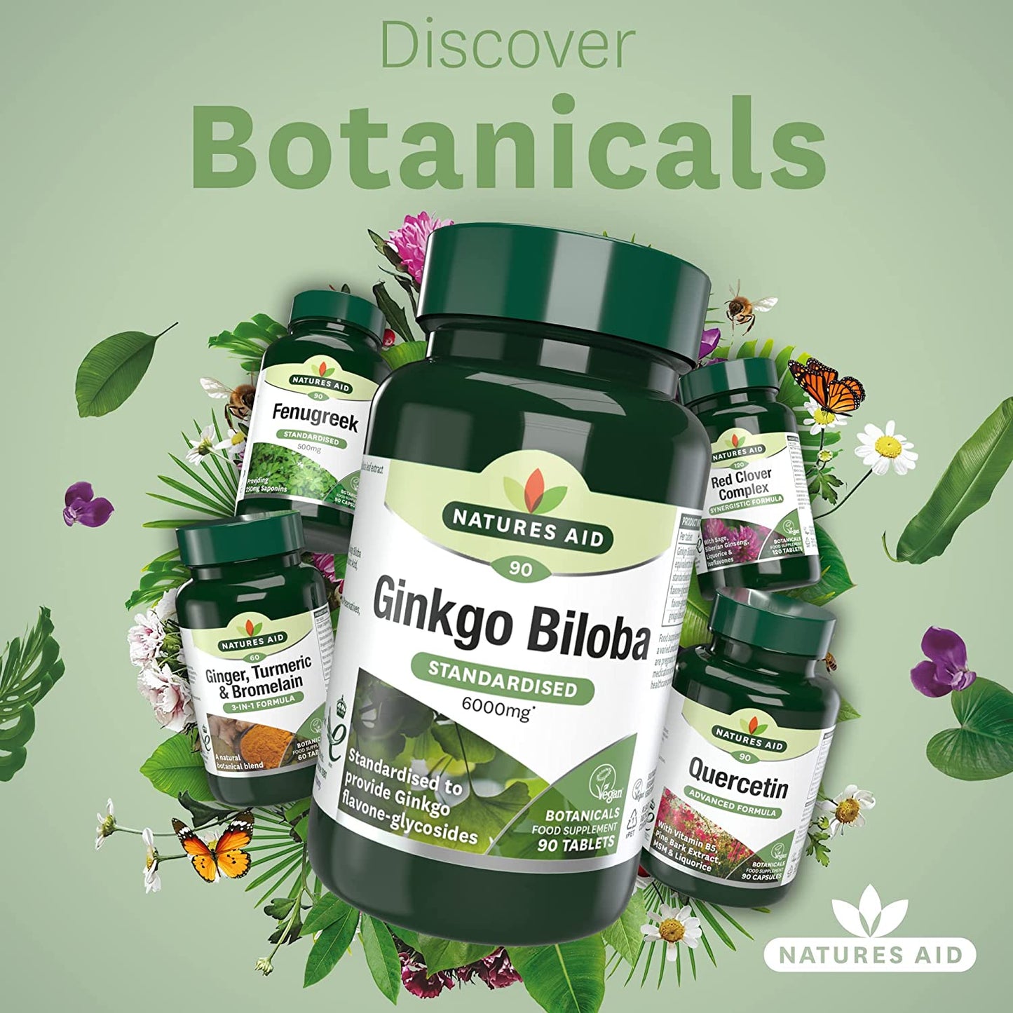 Ginkgo Biloba 6000mg 90 Tablets - Natures Aid - Vitamins & Supplements - Eco Natural Products