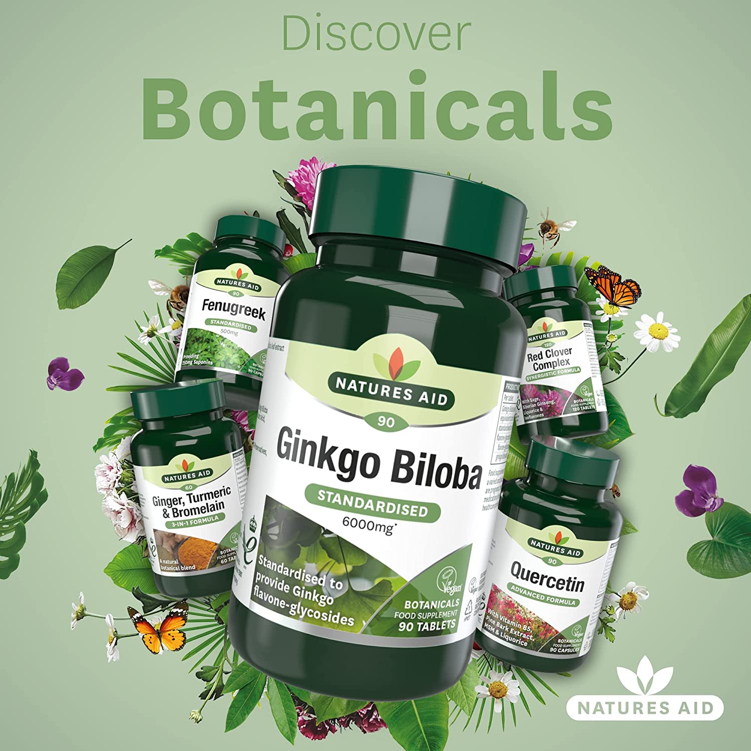 Ginkgo Biloba 6000mg 90 Tablets - Natures Aid - Vitamins & Supplements - Eco Natural Products