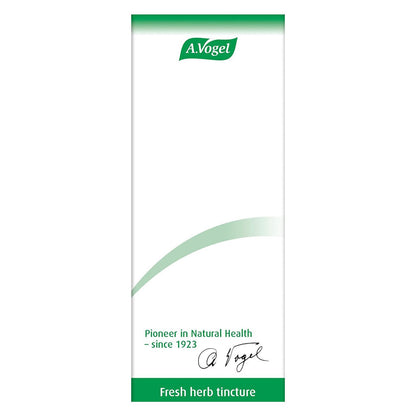 Ginsavena Drops Tincture 50ml - A. Vogel - Herbal Supplement - Eco Natural Products