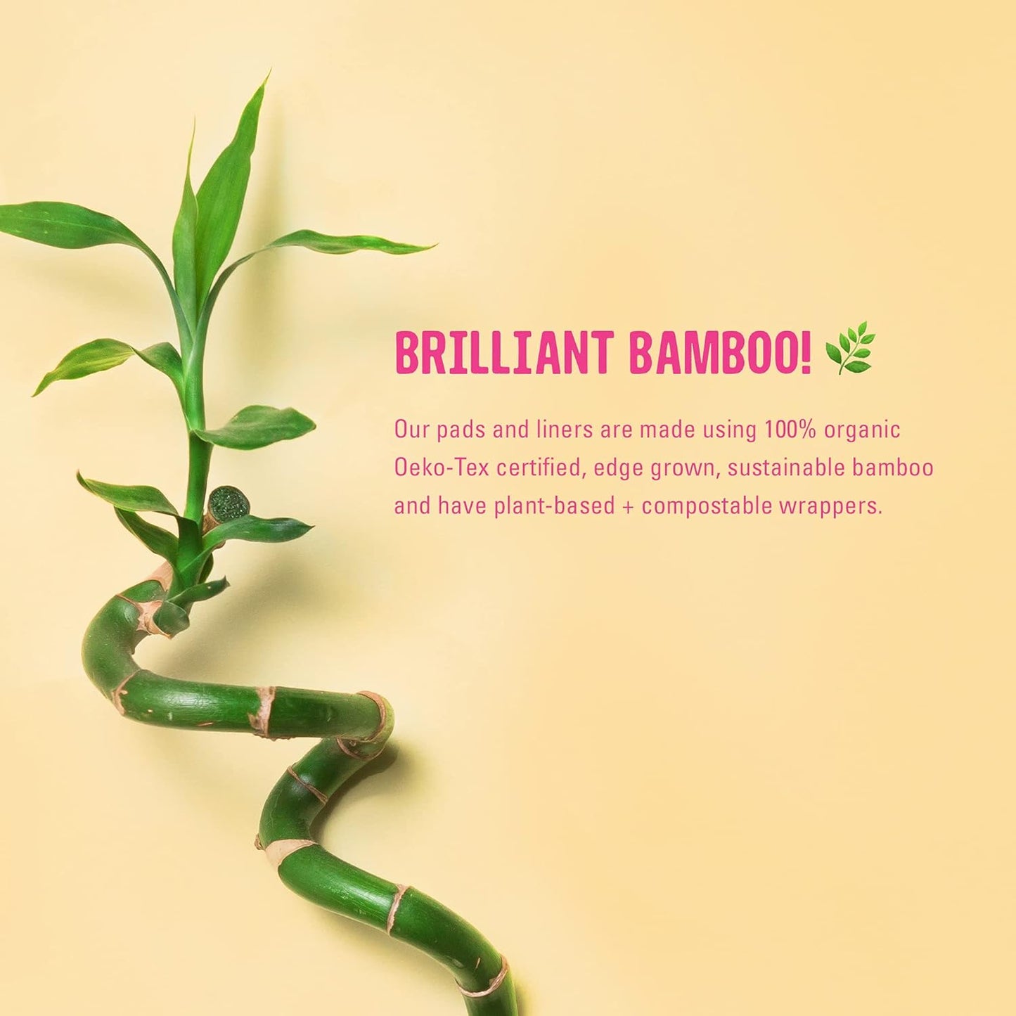 Glo Bamboo Liners for Sensitive Bladder (16 liners) - Here We Flo - Incontinence Aids - Eco Natural Products