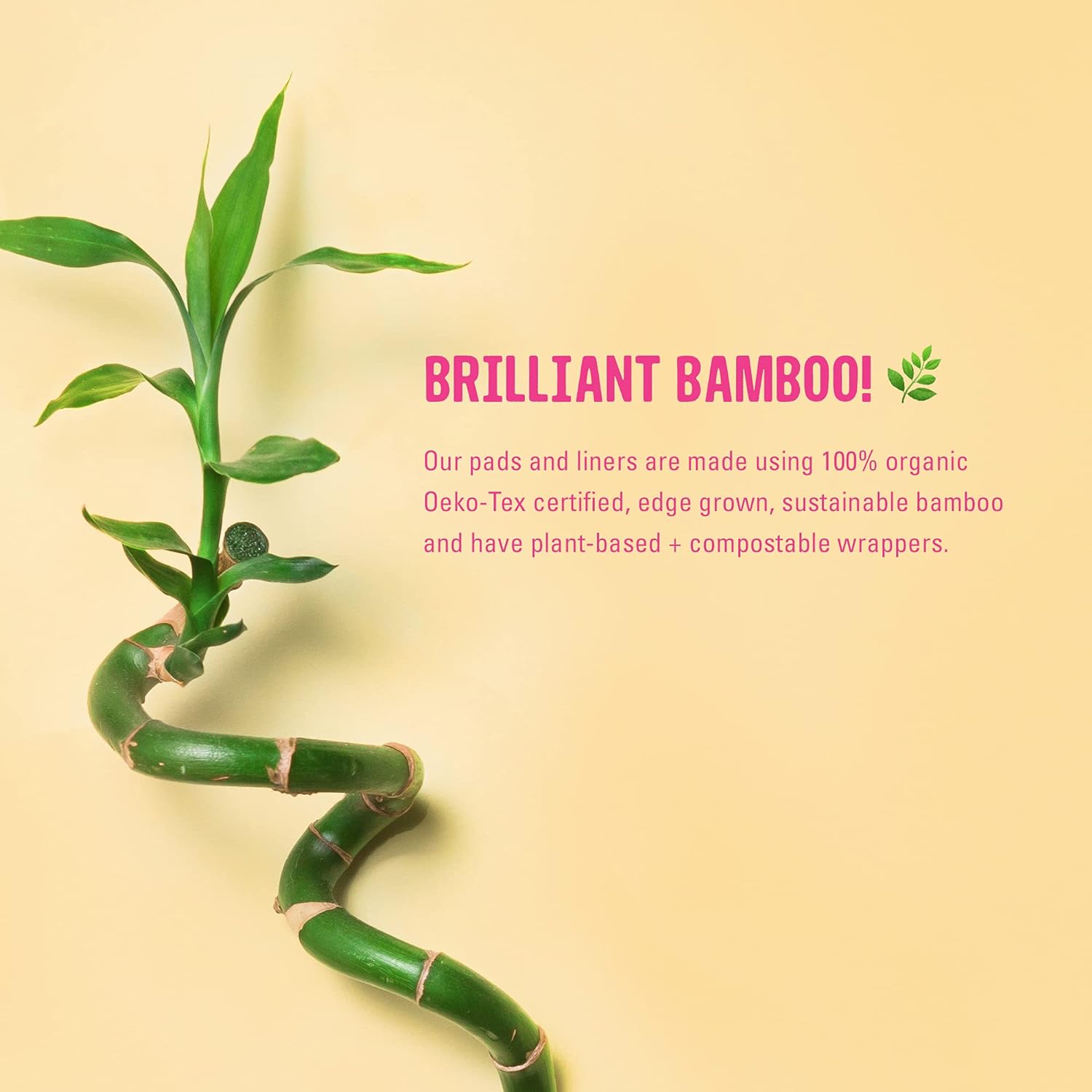 Glo Bamboo Long Pads for Sensitive Bladder (10 pads) - Glo - For Sensitive Bladders + Light Incontinence - Eco Natural Products