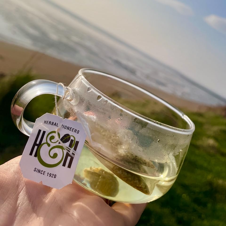 Green Tea with Moroccan Mint Tea 20 Bags - Heath & Heather - Tea Green - Eco Natural Products