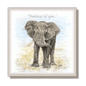 Eco-friendly elephant greeting card from Shared Earth – plastic-free with peelable sticker and recycled envelope.
