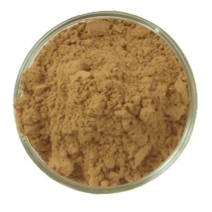 Herbal Tea Echinacea Root Instant 20g - Aquasol - Herbal tea - Eco Natural Products