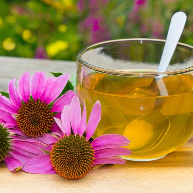 Herbal Tea Echinacea Root Instant 20g - Aquasol - Herbal tea - Eco Natural Products