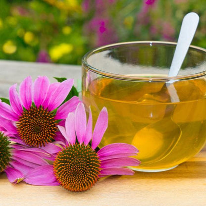 Herbal Tea Echinacea Root Instant 20g - Aquasol - Herbal tea - Eco Natural Products