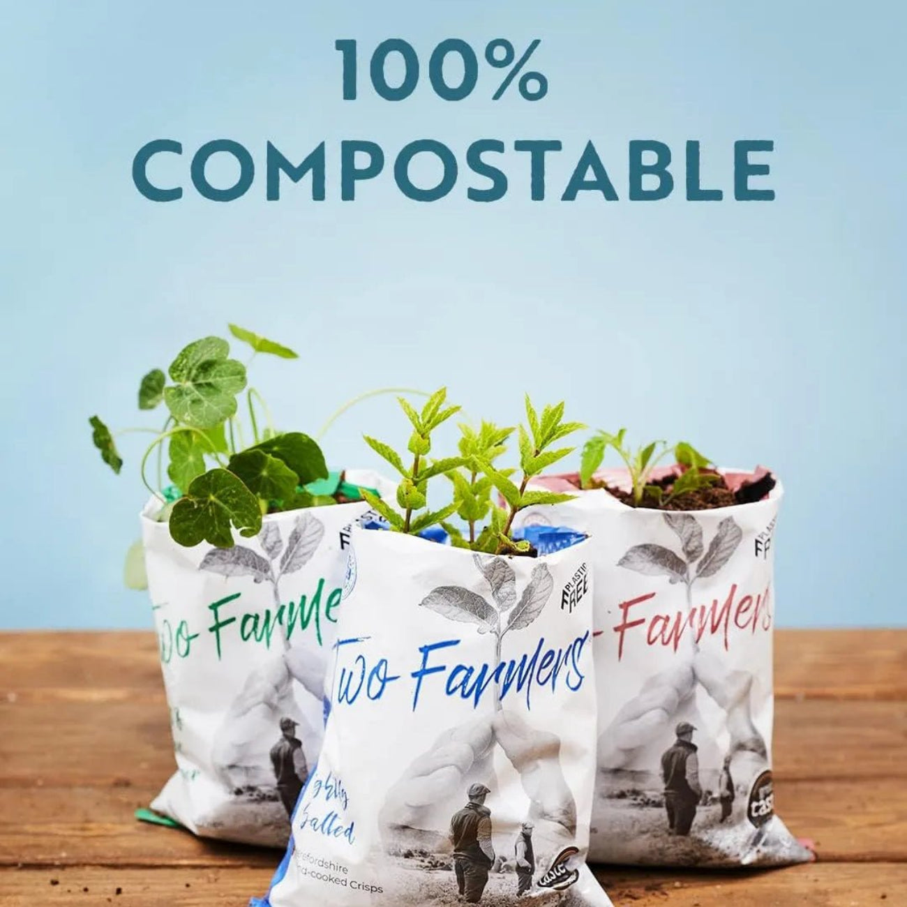 Herefordshire Sauce Hand - Cooked Crisps 40g - Two Farmers - Chips - Two Farmers