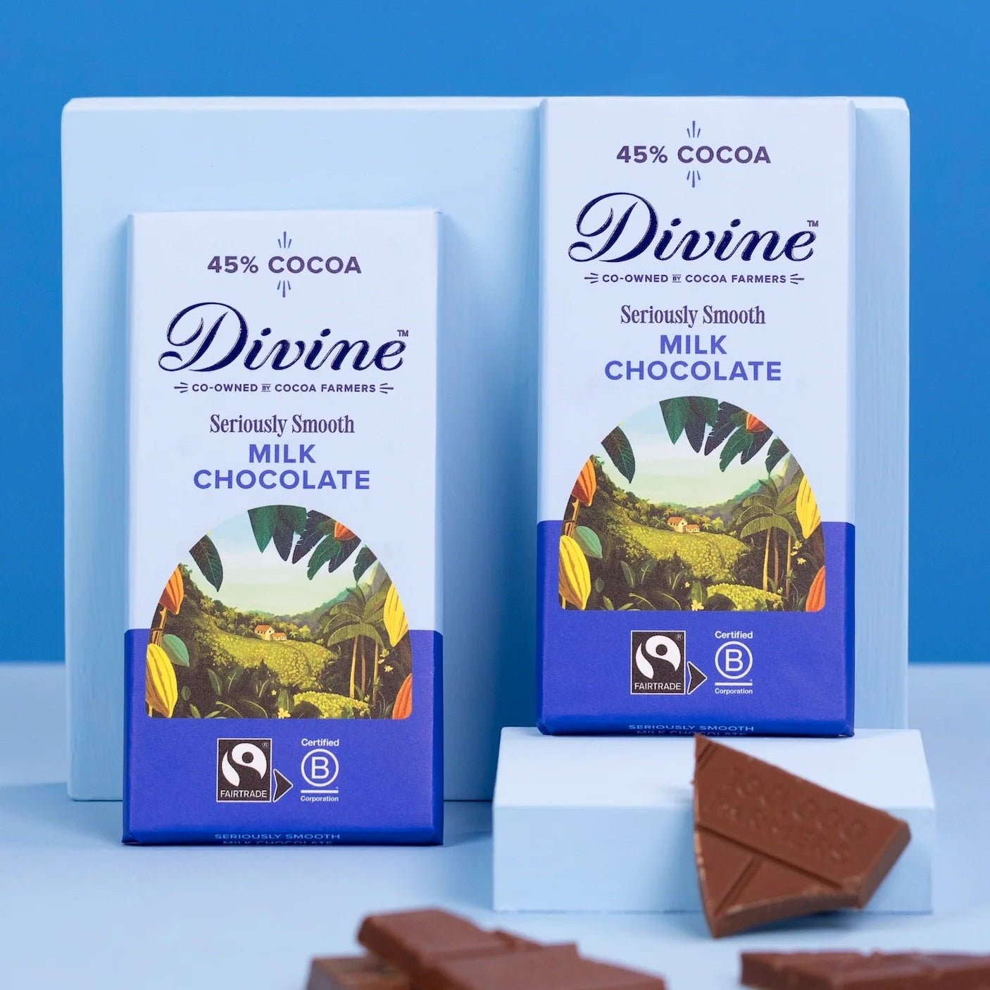 High Cocoa Milk Chocolate Bar 90g - Divine Chocolate - Chocolates - Divine Chocolate