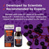 Immuno Forte Black Elderberry Liquid Vitamin C & Zinc 120ml - Eco Natural Products - Sambucol - Food Supplement