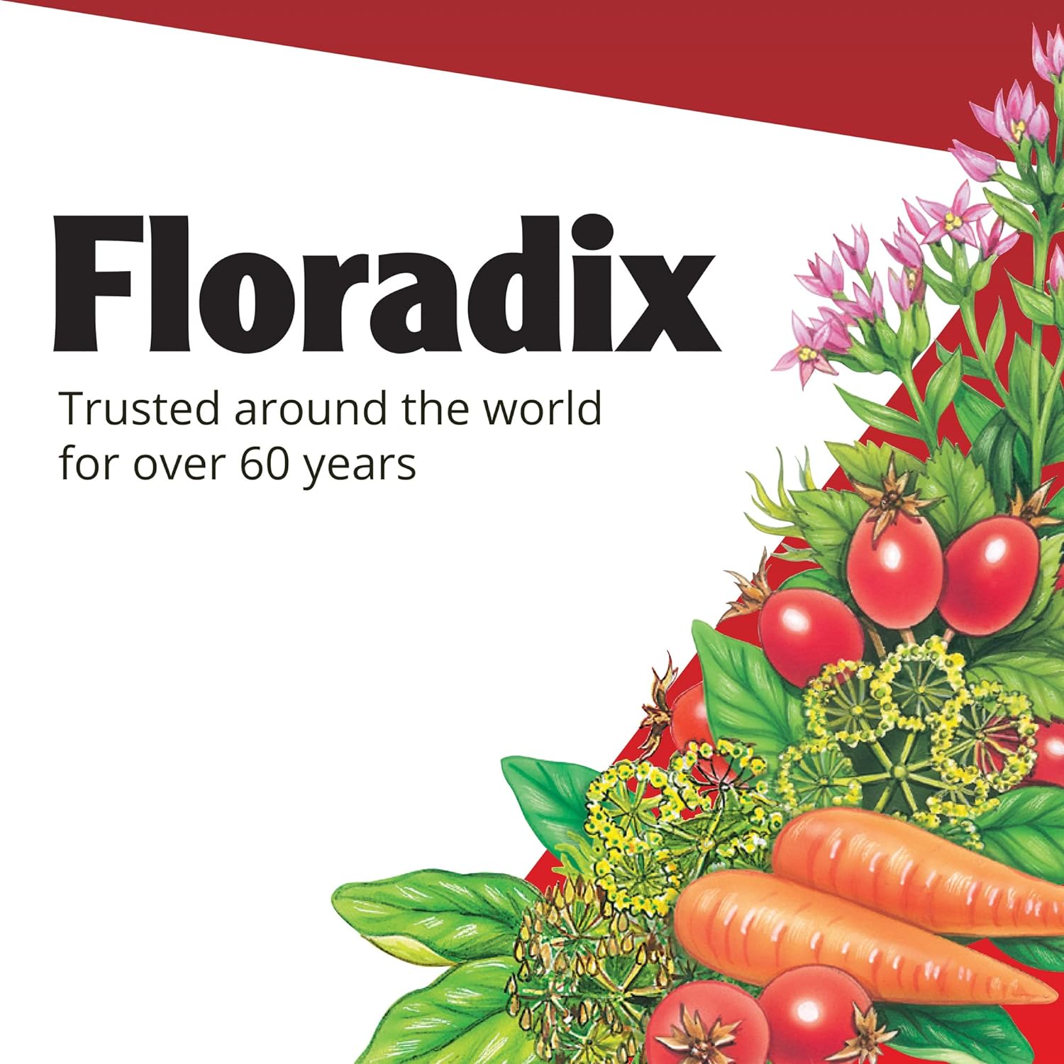 Iron 84 Tablets - Eco Natural Products - Floradix - Food Supplement