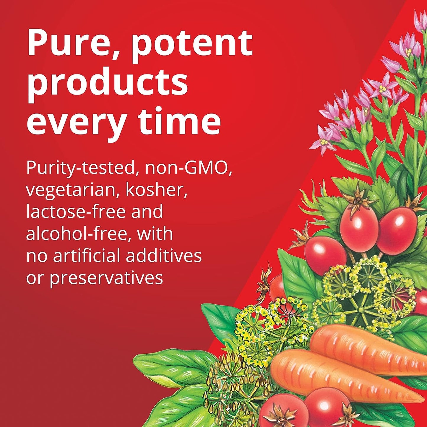 Iron 84 Tablets - Floradix - Food Supplement - Eco Natural Products