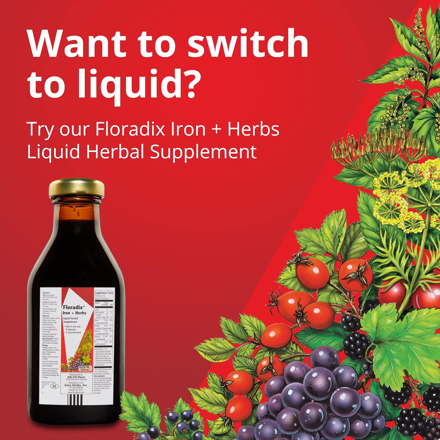 Iron 84 Tablets - Floradix - Food Supplement - Eco Natural Products