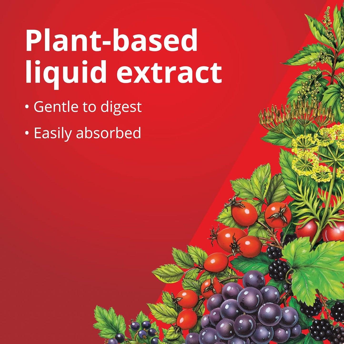 Iron and Vitamins Liquid Formula 250ml - Floradix - Liquid Food Supplement - Eco Natural Products