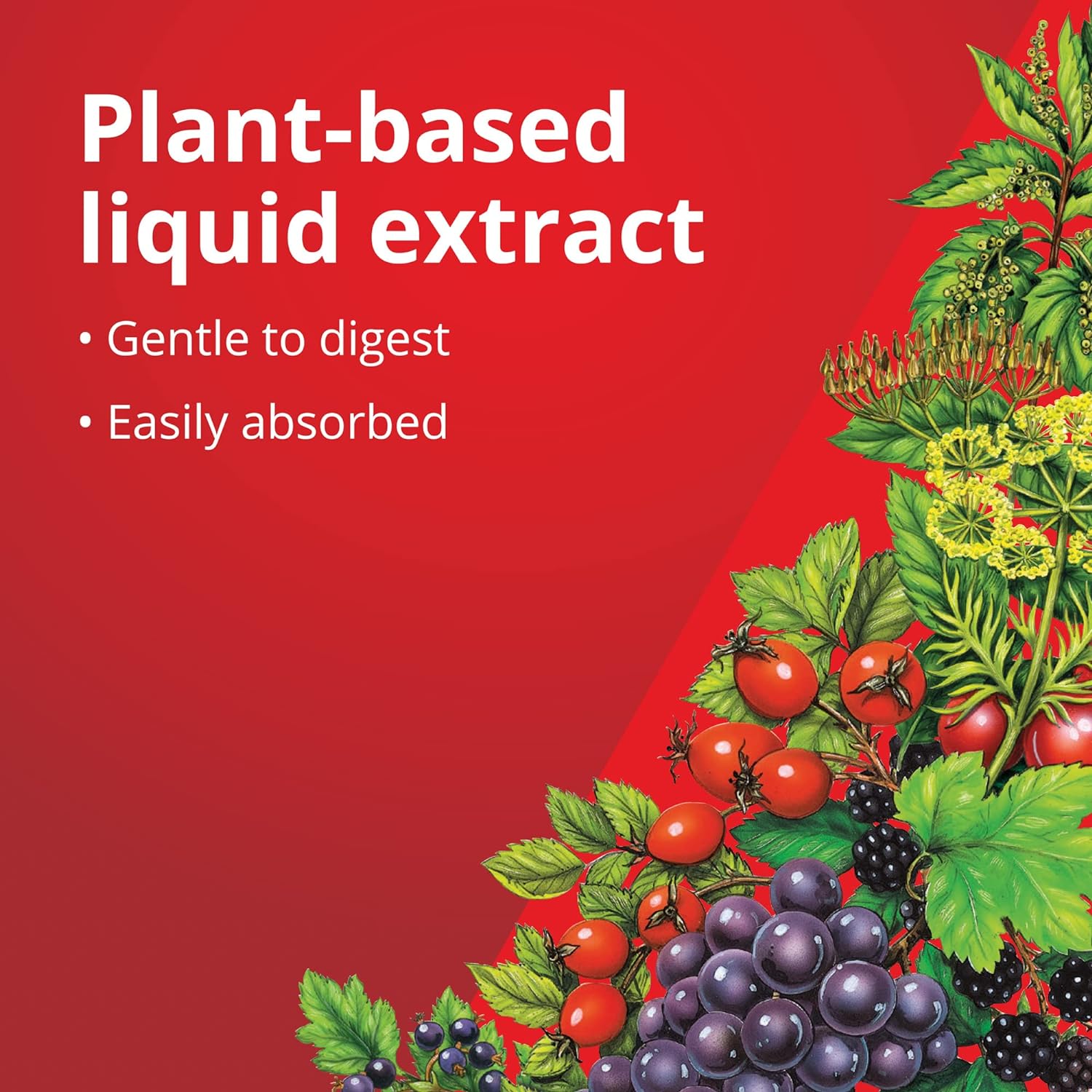 Iron Liquid Formula 500ml - Floradix - Liquid Food Supplement - Eco Natural Products