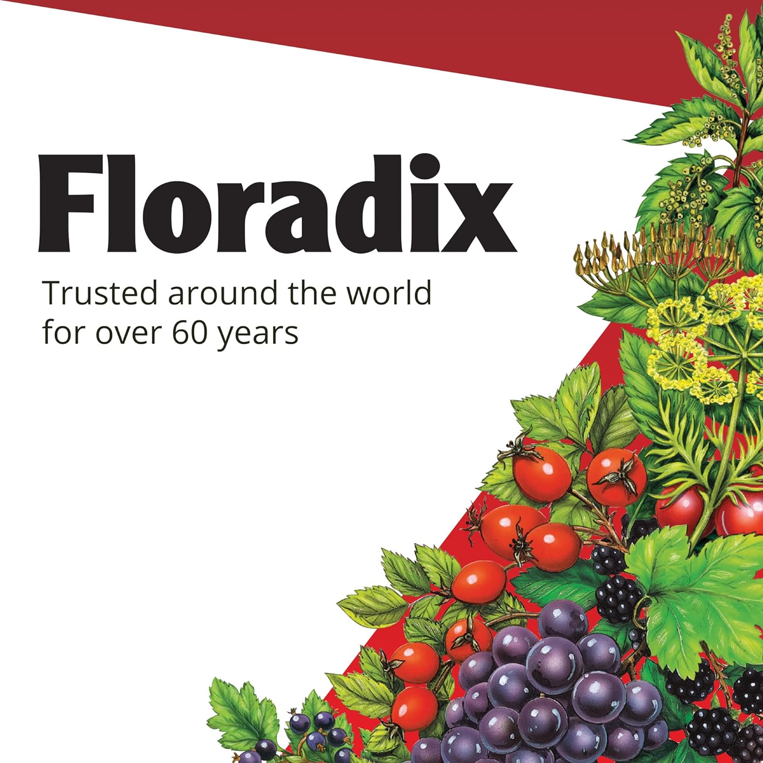 Iron Liquid Formula 500ml - Floradix - Liquid Food Supplement - Eco Natural Products
