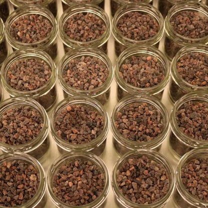 Kala Namak Indian Black Salt 100g Damaged Packaging BBE09.2028 - Steenbergs - Salts - Steenbergs