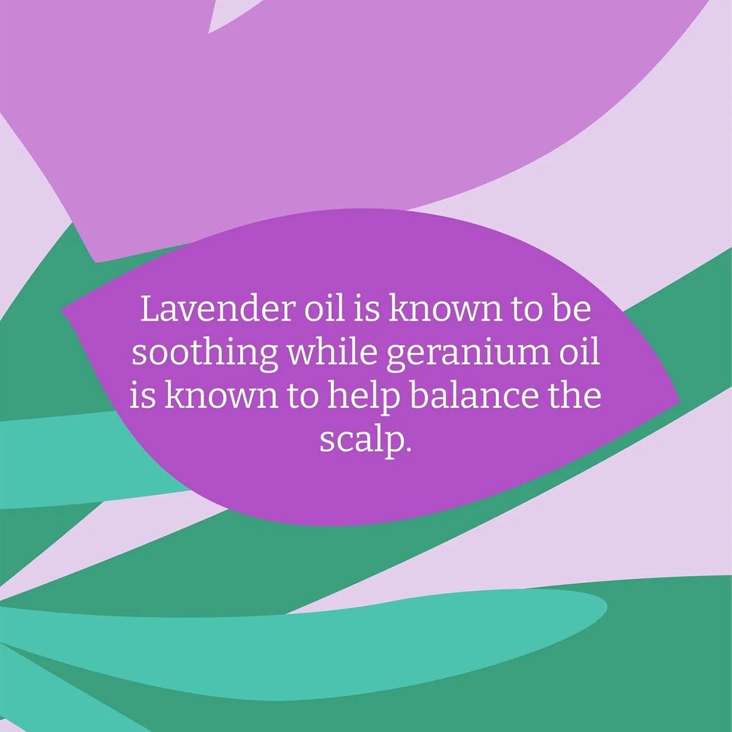 Lavender & Geranium Conditioner 400ml - Faith in Nature - Conditioner - Faith in Nature