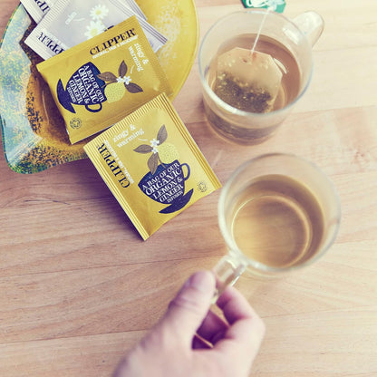 Lemon Ginger Infusion 20 Bags - Clipper - Infusion - Eco Natural Products
