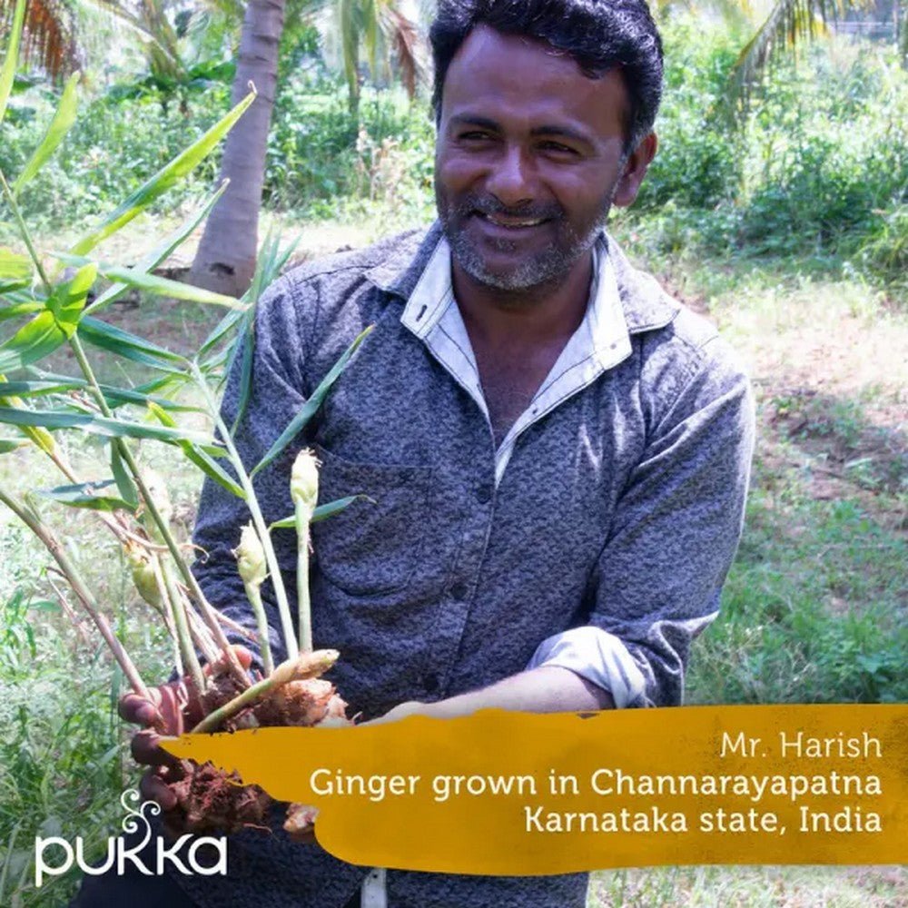 Lemon Ginger & Manuka Honey Tea 20 Bags - Pukka Herbs - Herbal Tea - Eco Natural Products