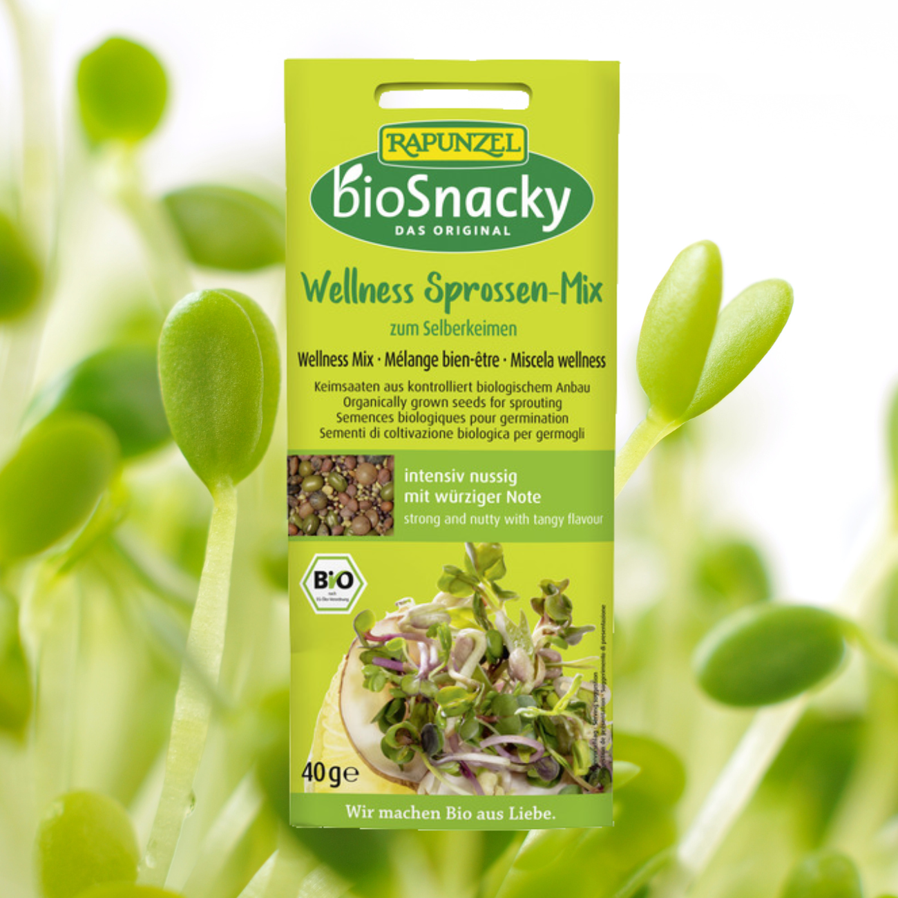 Organic BioSnacky Wellness Mix Sprouting Seeds 40g
