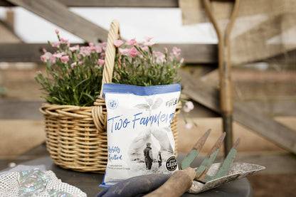 Lightly Salted Crisps Compostable Packaging 40g - Two Farmers - Potatoe Crisps - Eco Natural Products